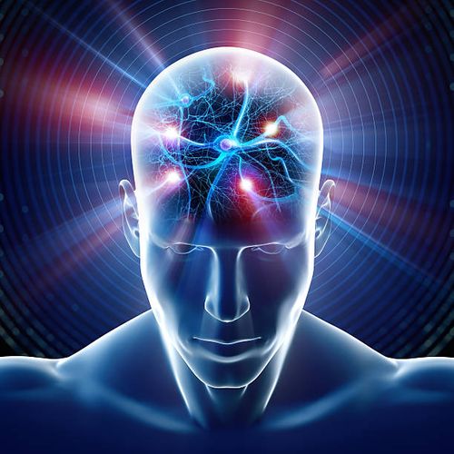 Raio-X do cérebro com neurônios, renderização 3D de alta resolução de uma cabeça humana com neurônios dentro, ondas cerebrais humanas, fotos, imagens e banco de imagens sem royalties