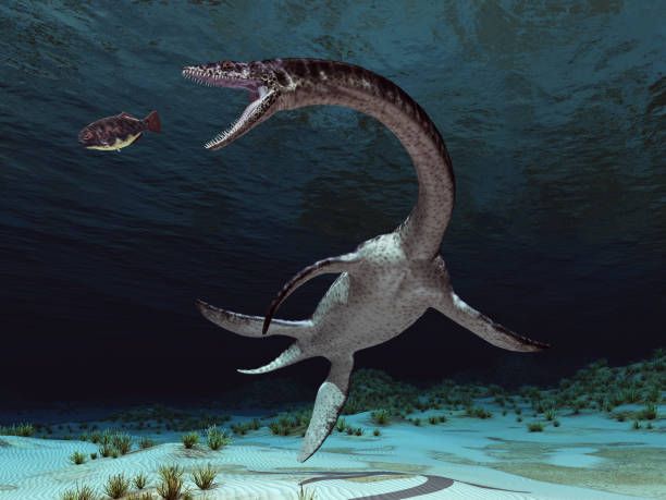 Plesiosaurus