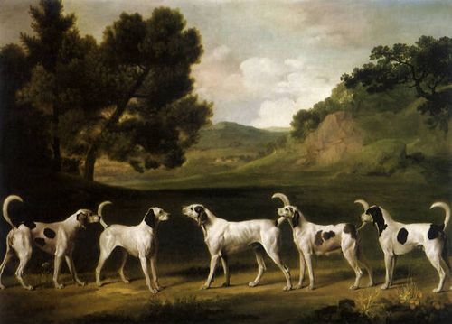 Five Foxhounds, Stubbs, George.