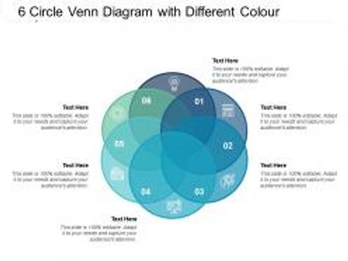 6 circle venn diagram with different colour