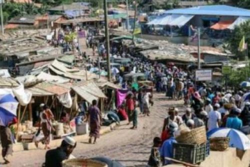 Hundreds of Bangladeshis seek refuge at border in Cooch Behar