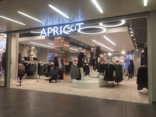 Apricot