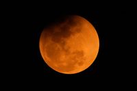 ‘Almost blood moon’ to be visible from Southern California this week - KTLA