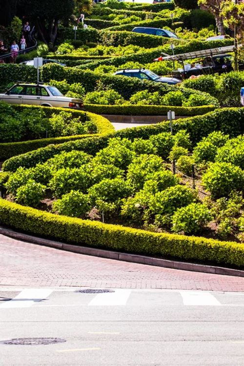 Lombard Street in San Francisco  - Photo, Image