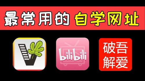 【自学网址】大学生必看！一个比一个厉害！