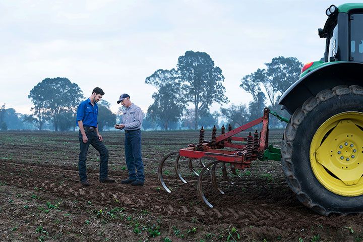 Teacher guiding a dedicated student in hands-on learning, cultivating practical skills amidst the crops.