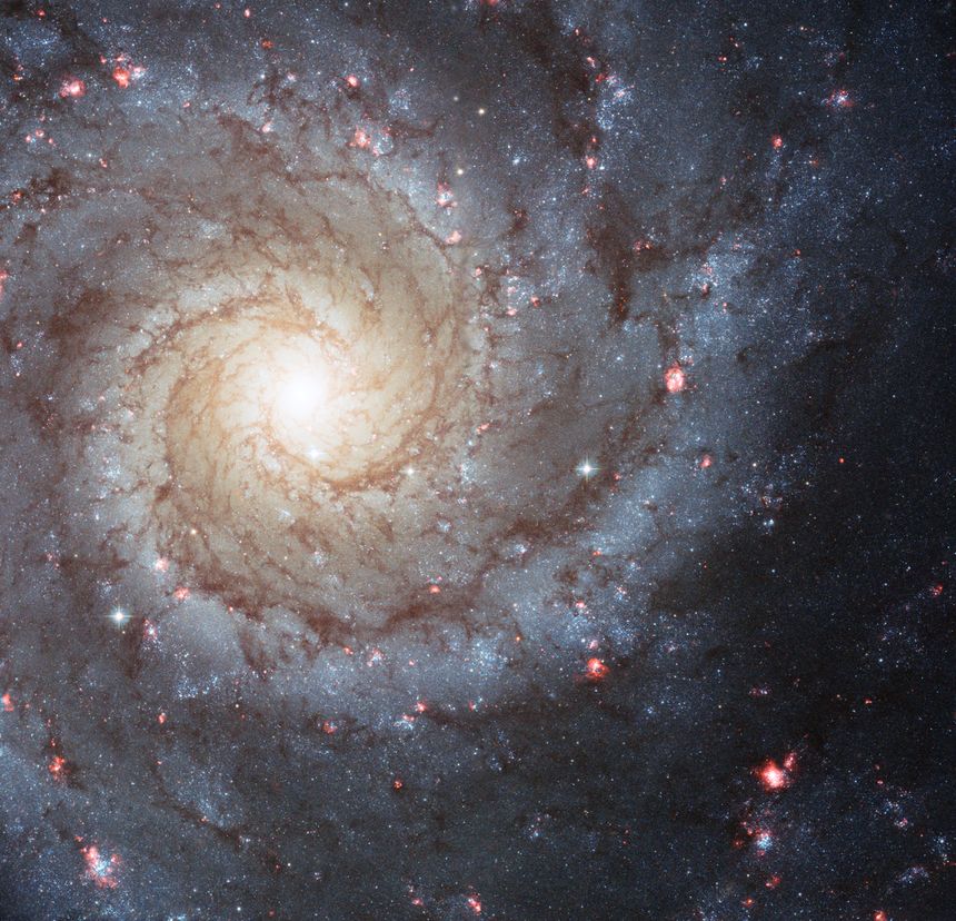 Spiral