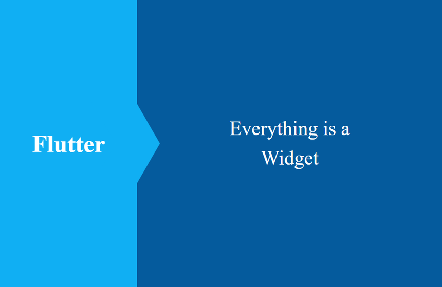 Flutter Everthing is a Widget