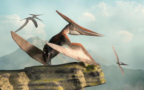 Pteranodon