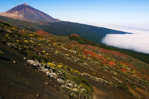 Montaña del Teide