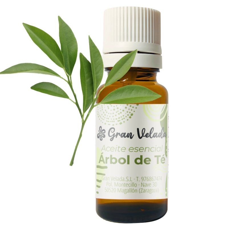 Aceite de Árbol de Té