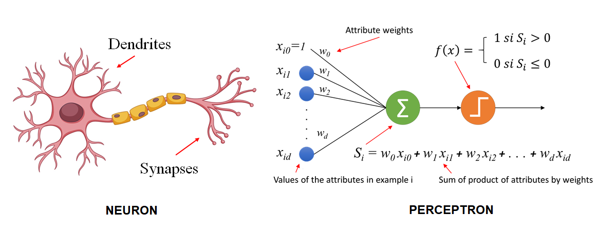 Deep neural networks, or Perceptron vs dogs and cats