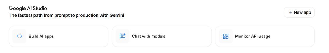 Google AI Studio Initial Setup