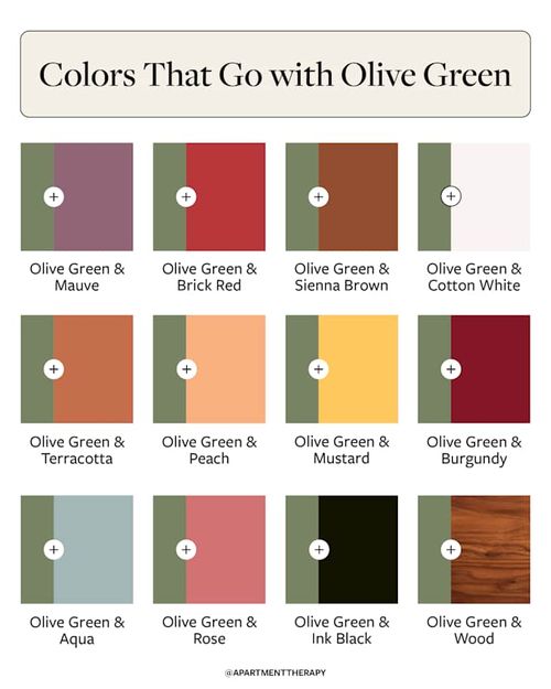 infographic showing 12 color combinations that go with olive green