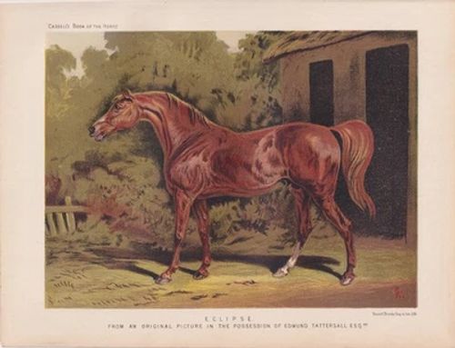 Champion Thoroughbred Racehorse ECLIPSE Antique Horse Lithograph Art Print 1873 - Image 1 of 3
