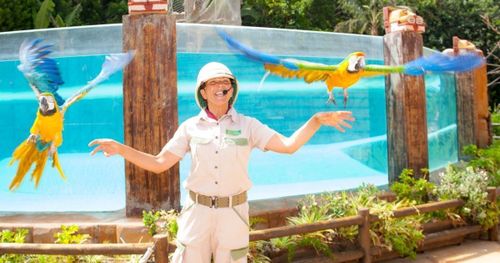 Park Las Águilas Jungle Park