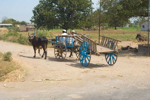 bullock carts on road of shingnapur, nasik, maharashtra, india - bullock cart india stock pictures, royalty-free photos & images
