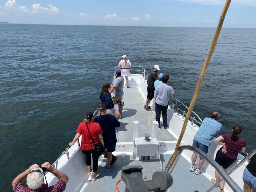 Jersey Shore Whale Watching Tours