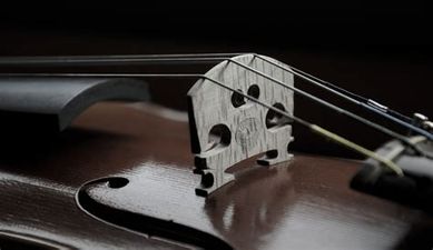 Aprende a Tocar el Violín con un Curso Online de Calidad