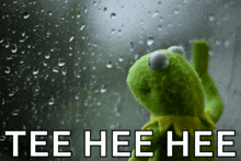 a kermit the frog looking out a window with the words tee hee hee below him