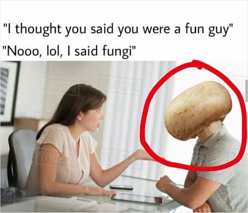 Woman talking to a person with a mushroom head, highlighted by a red circle, illustrating an obvious visual pun.