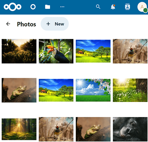 nextcloud ubuntu 24.04 photos view