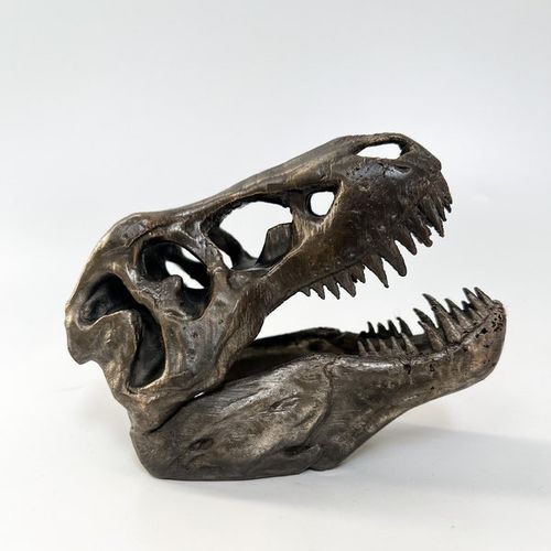 Bronze T-rex Skull Sculpture, Dinosaur Head, Paleontology Figure, Jurassic World, Dinosaur Skull Statue