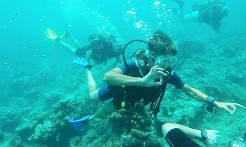 Le Grand Bleu Diving Center