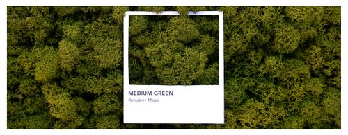 Medium Green Reindeer