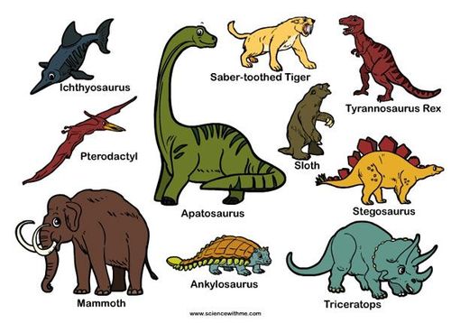an image of different types of dinosaurs