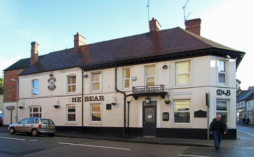 The Bear