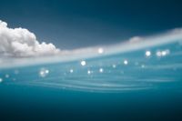 Surf Photographers — Club of the Waves