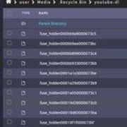 r/unRAID - Why can I not delete these files?