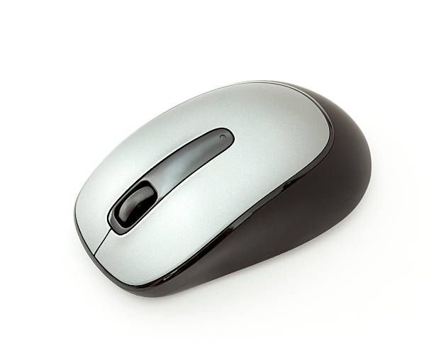 mouse