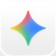 程序图标: Google Gemini
