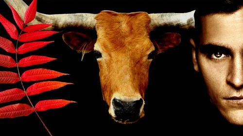 Videos Para ver y entender