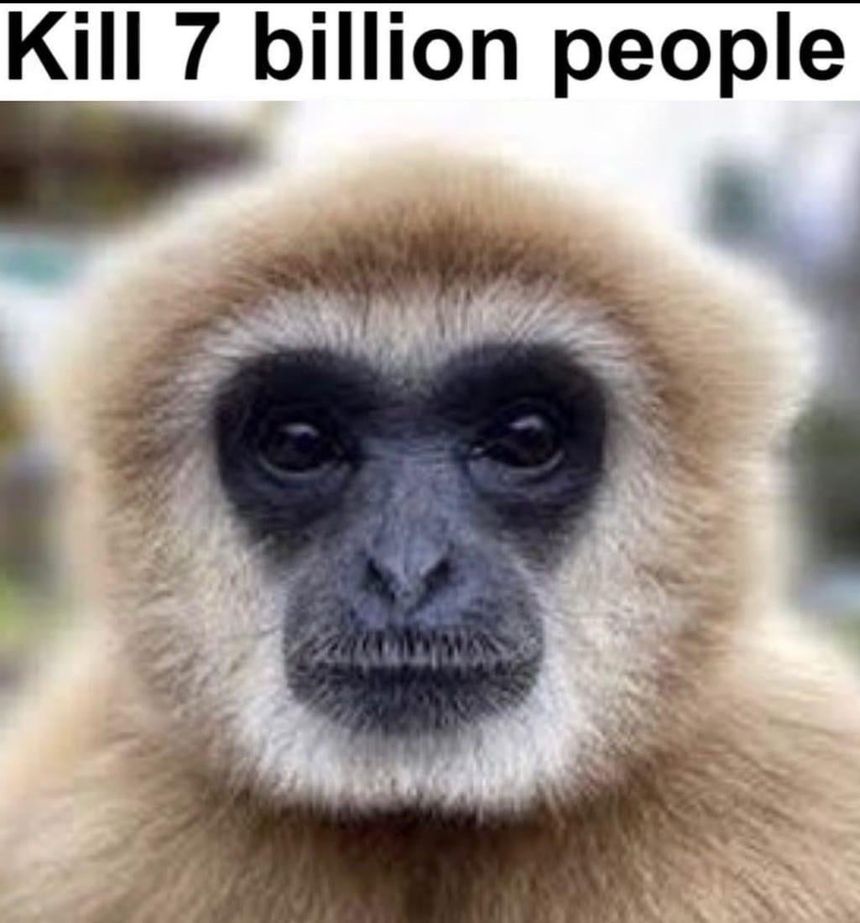 A monkye abbout to kill 7 bilion people