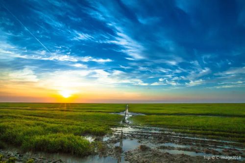 Dongtan Wetland Park