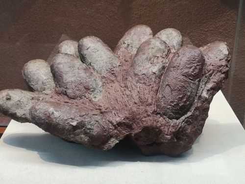 Dinosaur egg fossil in Heyuan, Guangdong. Heyuan is called the hometown of dinosaurs in China because a large number of dinosaur egg fossils have been unearthed royalty free stock image