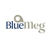 BlueMeg - Crunchbase Company Profile & Funding