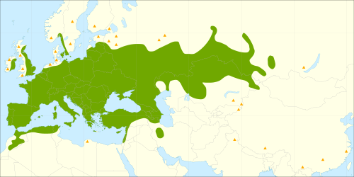Salix_alba_range.svg