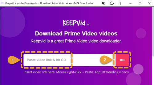 Keepvid Amazon Prime Video Downloader