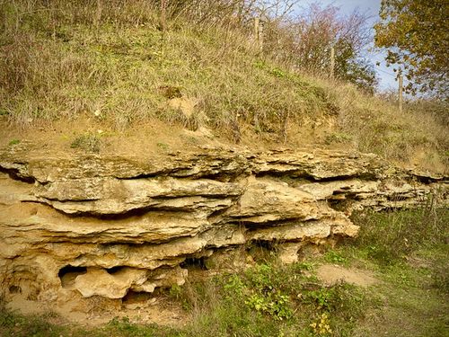 Dry Sandford Pit