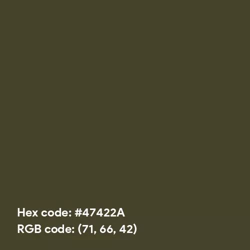 Army Green (Hex code: 47422A) Color Thumbnail