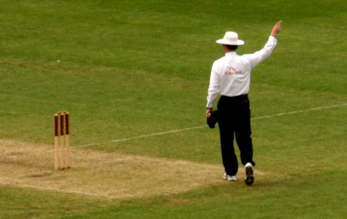 cricket umpire