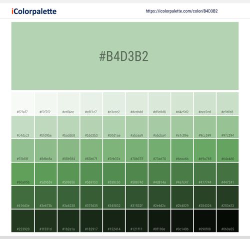 Explore a full range of light and dark shades for Pantone 13-0116 Tcx Pastel Green Color | Hex color Code #b4d3b2. Perfect for finding the exact tint or tone for your artwork or UI design. #colorshades #colorinspiration #webdesign #b4d3b2