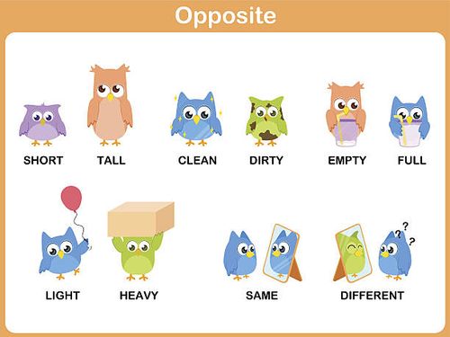 Opposite word for preschool Opposite word for preschool opposite word for preschool stock illustrations