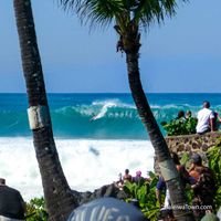 North Shore Surf Competitions Oahu, Hawaii (2025 - 2026 Guide) - Haleiwa Town