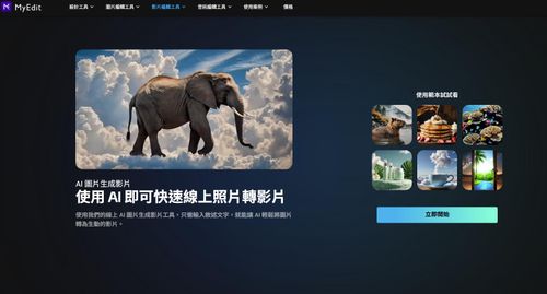 MyEdit AI 圖片生成影片
