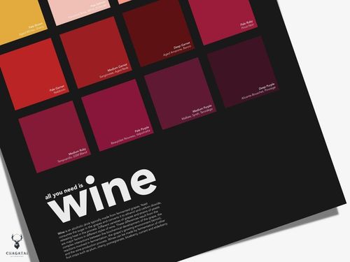 Wine Print, Wine Guide, Wine Colors Chart, Kitchen Wall Decor, Wine Chart Poster, Wine Lover Gift. This poster features a beautiful color chart showcasing the different colors of wine from deep ruby reds to pale yellows along with their corresponding